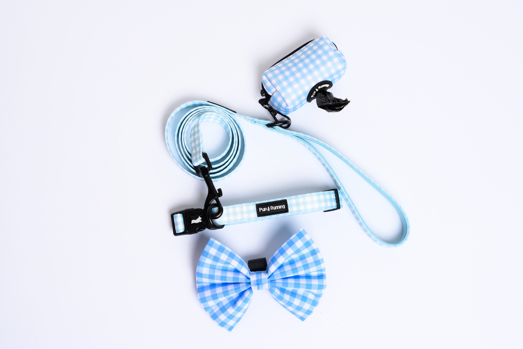 Match My Dog Set in Blue Gingham