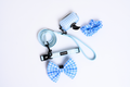 Match My Dog Set in Blue Gingham