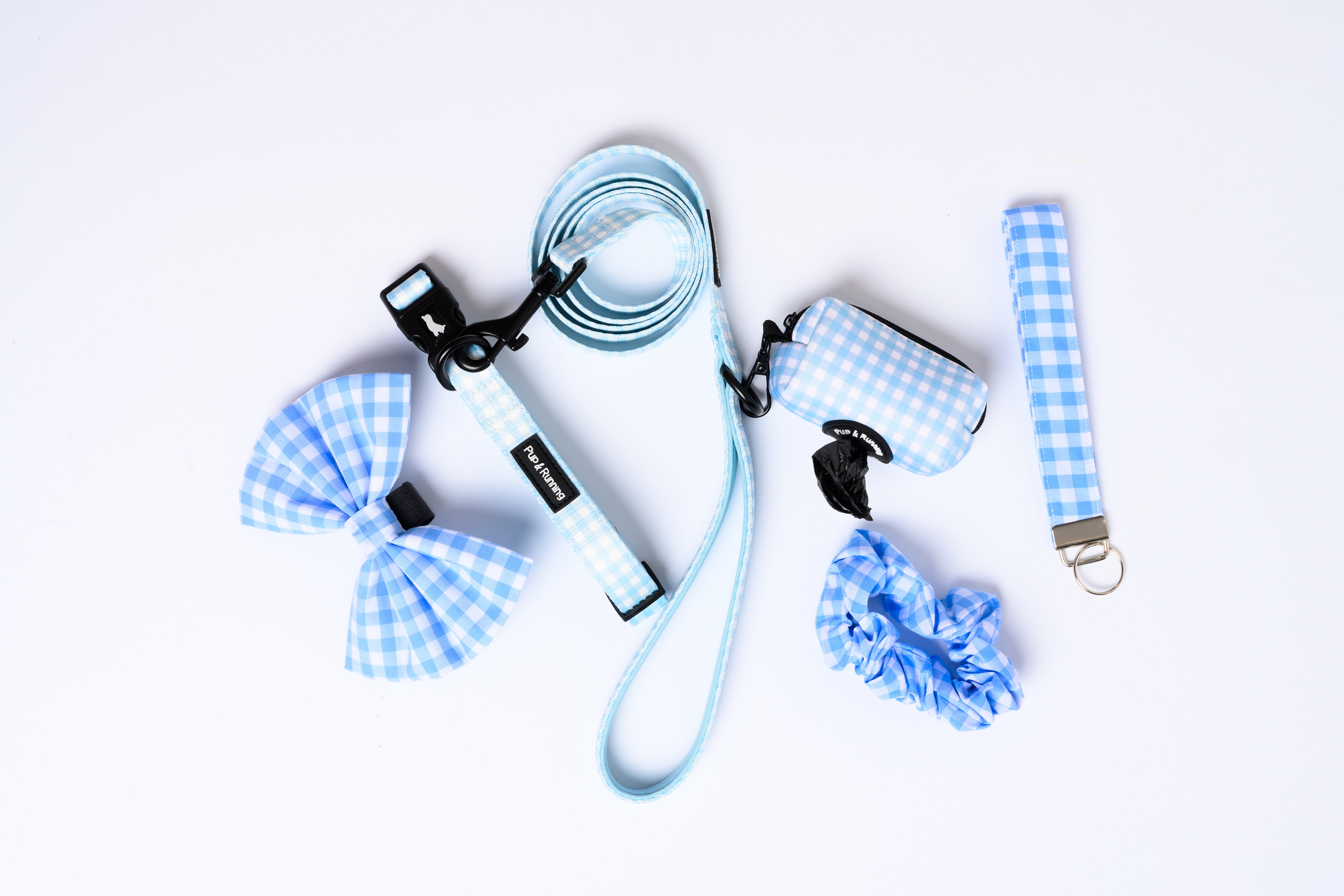 Match My Dog Set in Blue Gingham