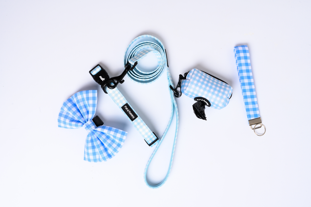 Match My Dog Set in Blue Gingham