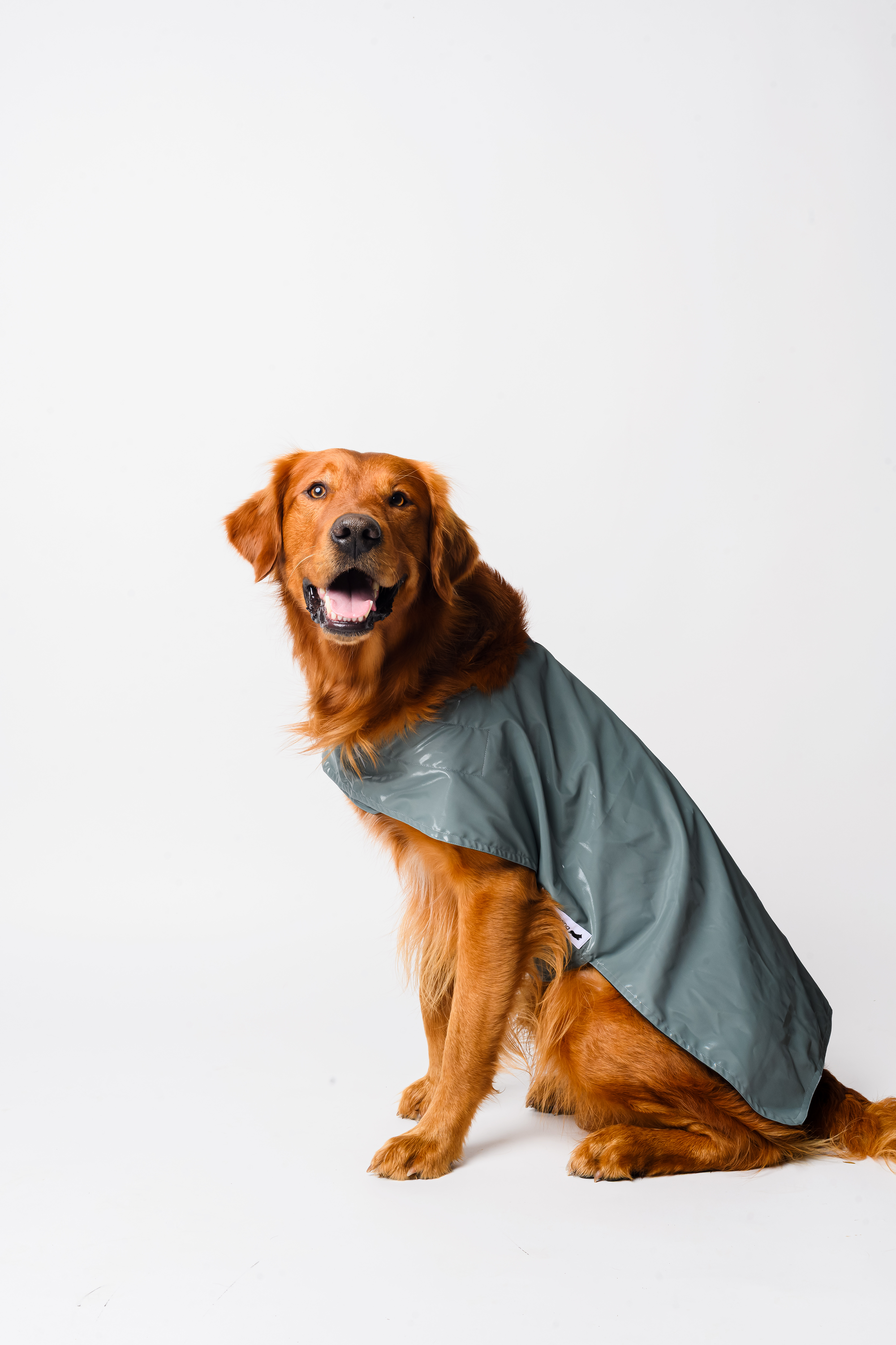 Waterproof Dog Raincoat
