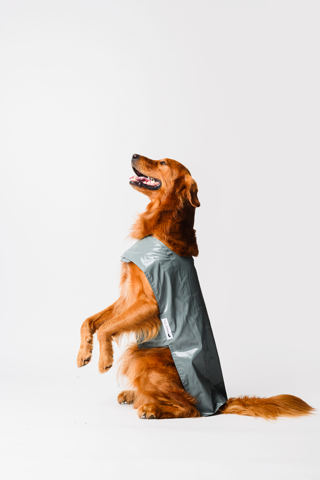 Waterproof Dog Raincoat
