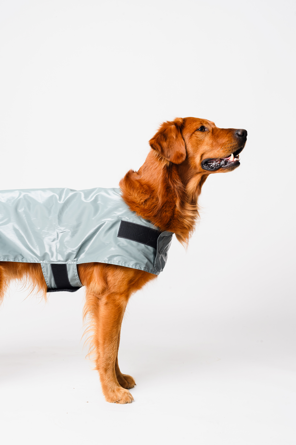 Waterproof Dog Raincoat