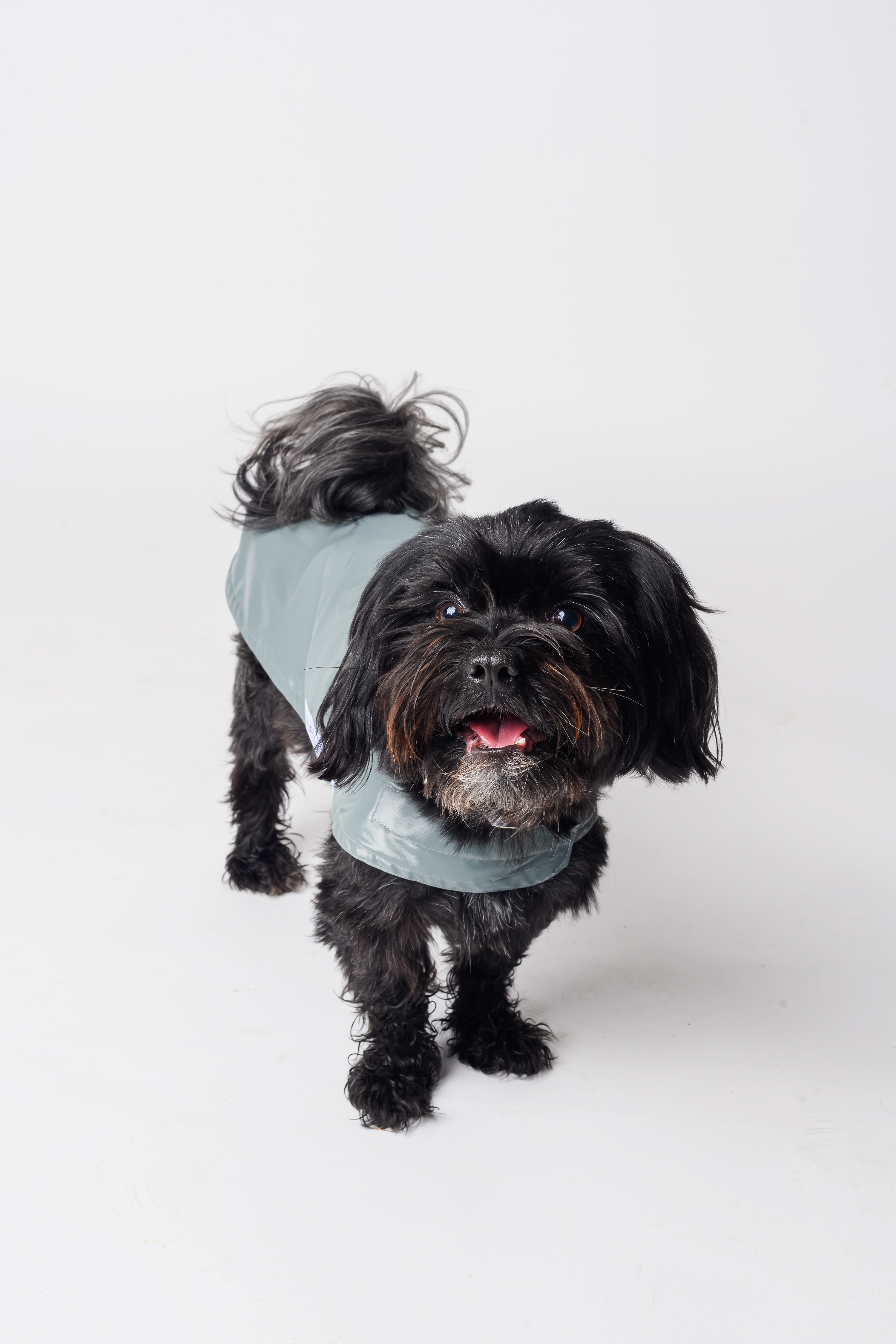 Waterproof Dog Raincoat