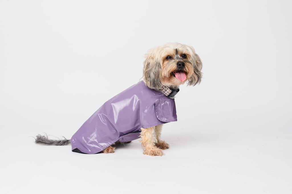 Waterproof Dog Raincoat