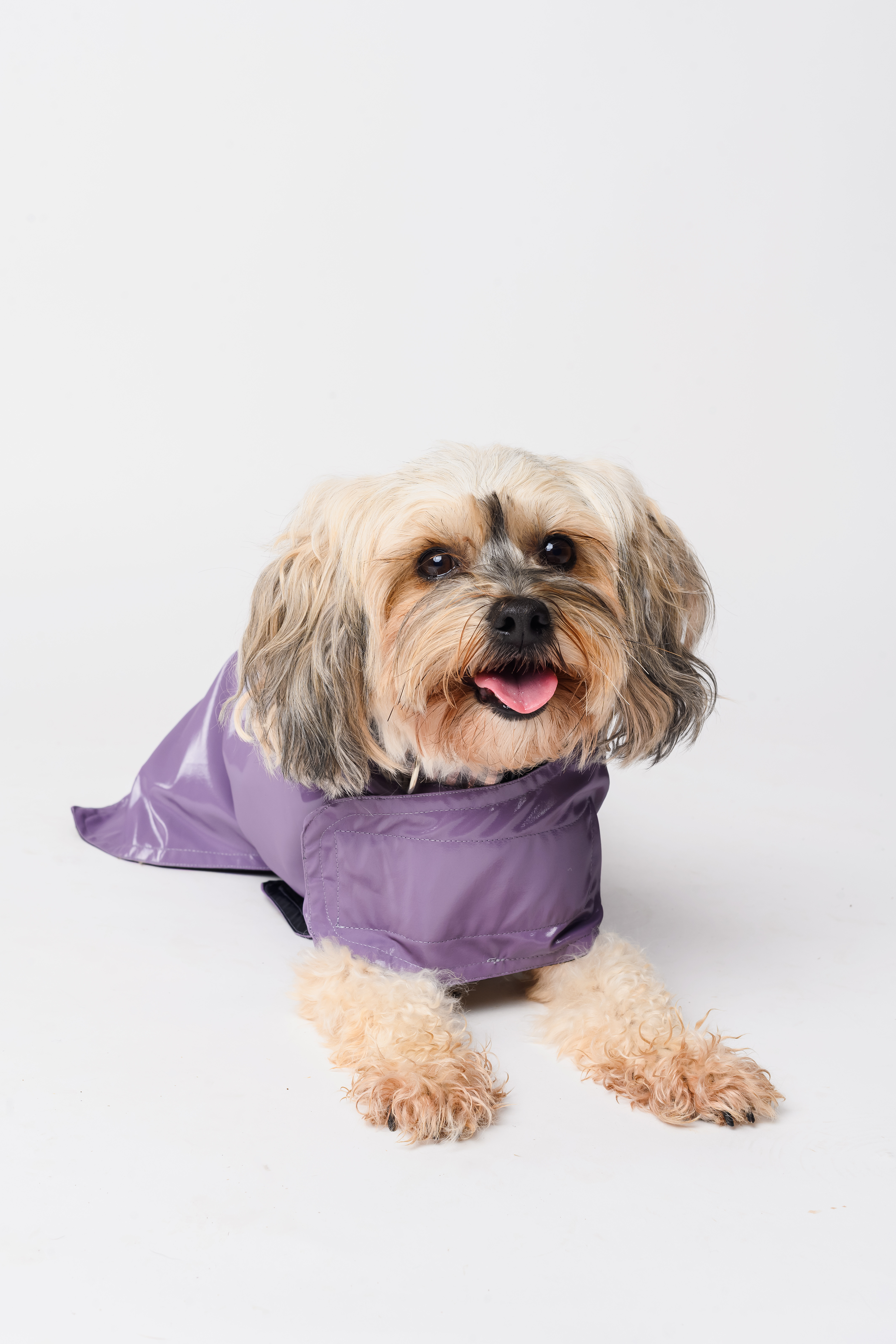 Waterproof Dog Raincoat