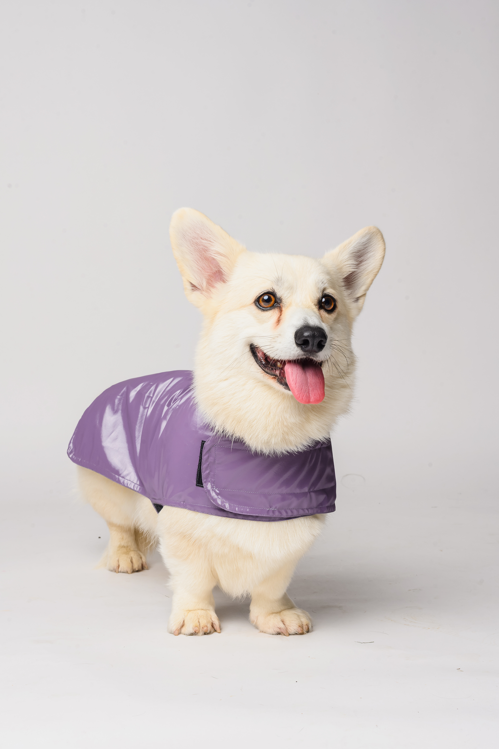 Waterproof Dog Raincoat