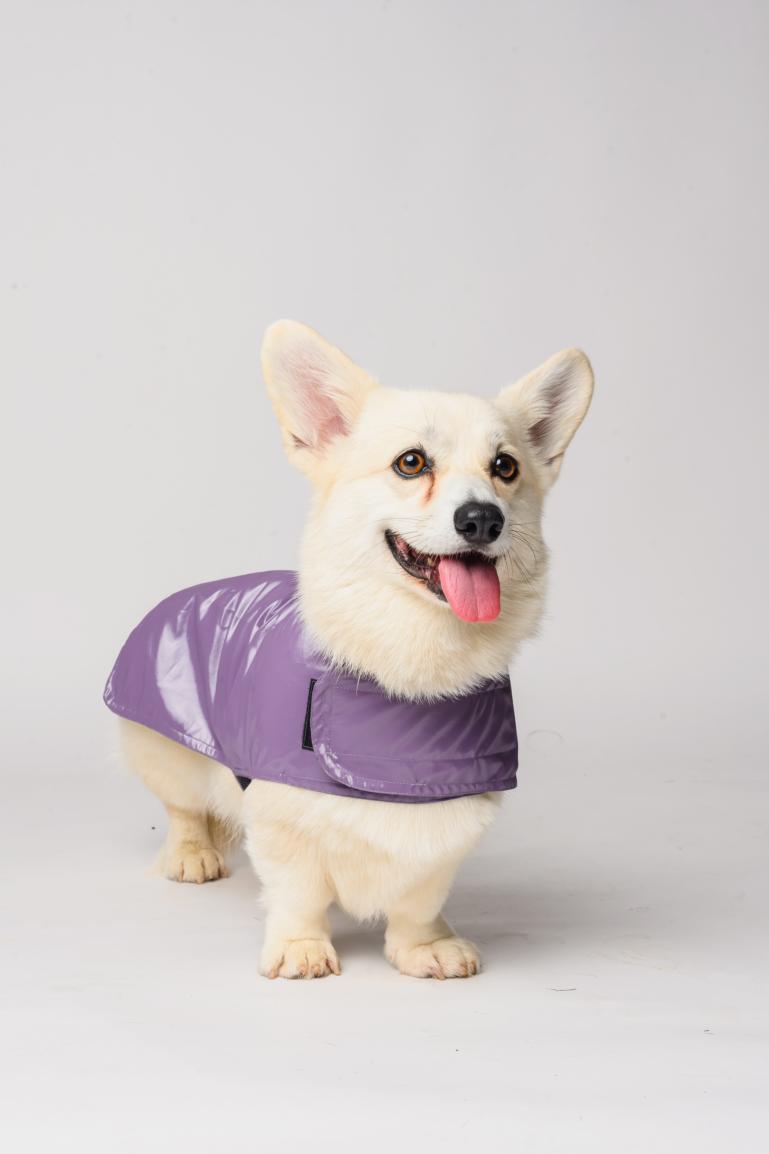 Waterproof Dog Raincoat