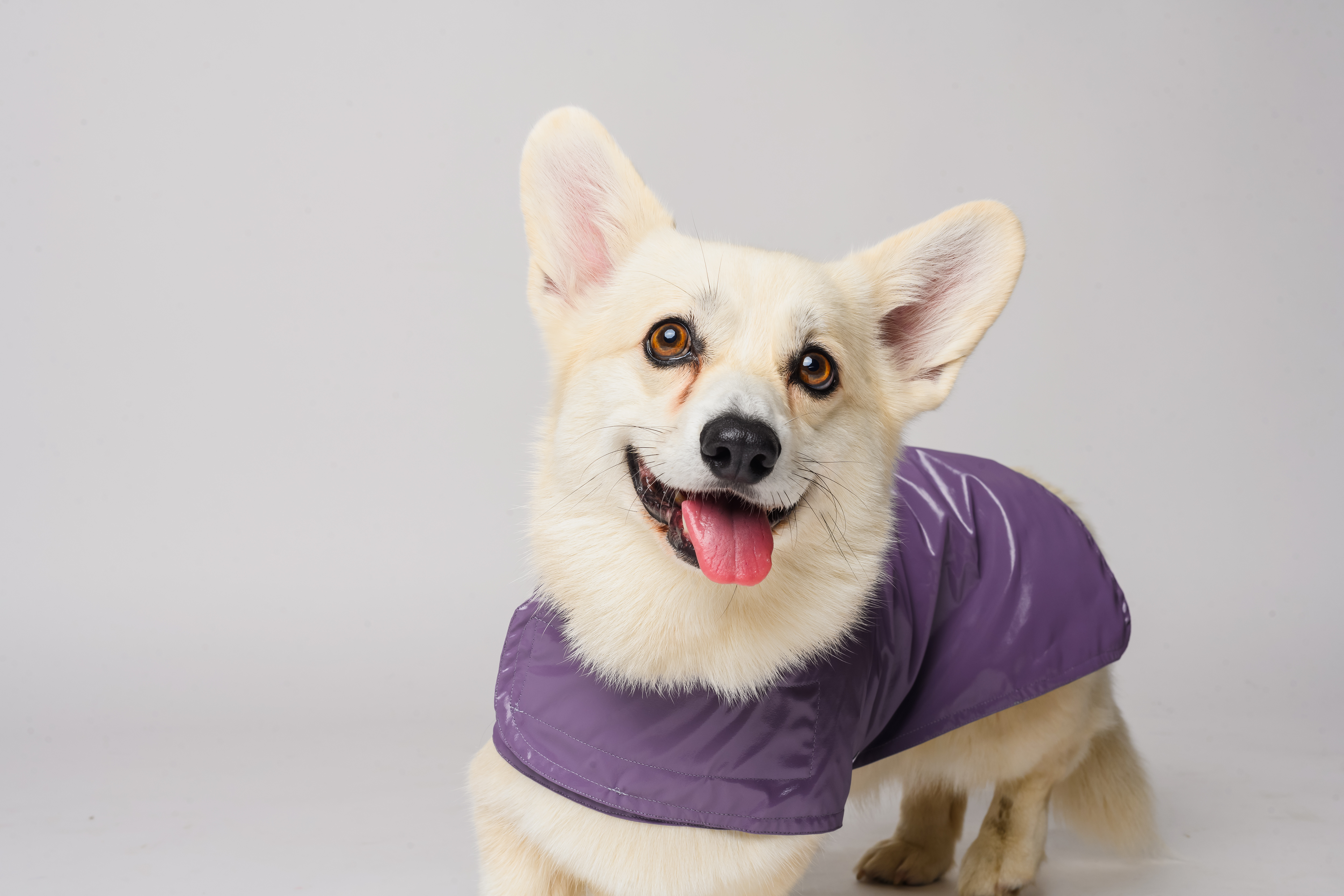 Waterproof Dog Raincoat