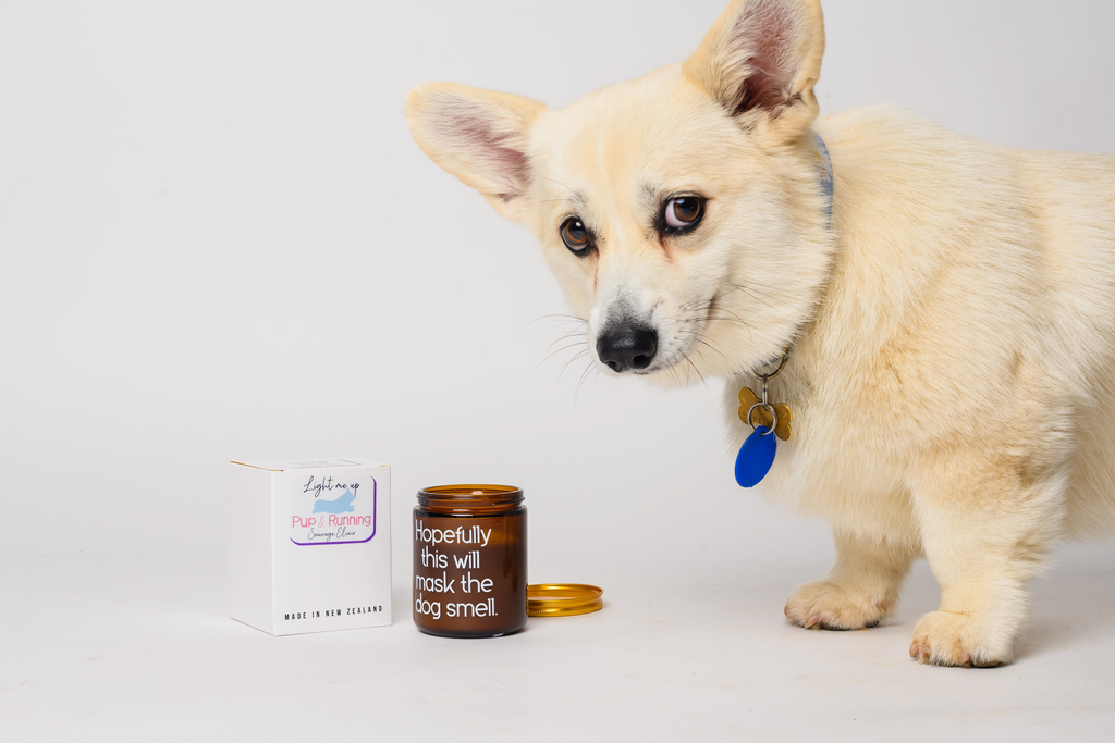 Vanilla Coffee Scented Candle