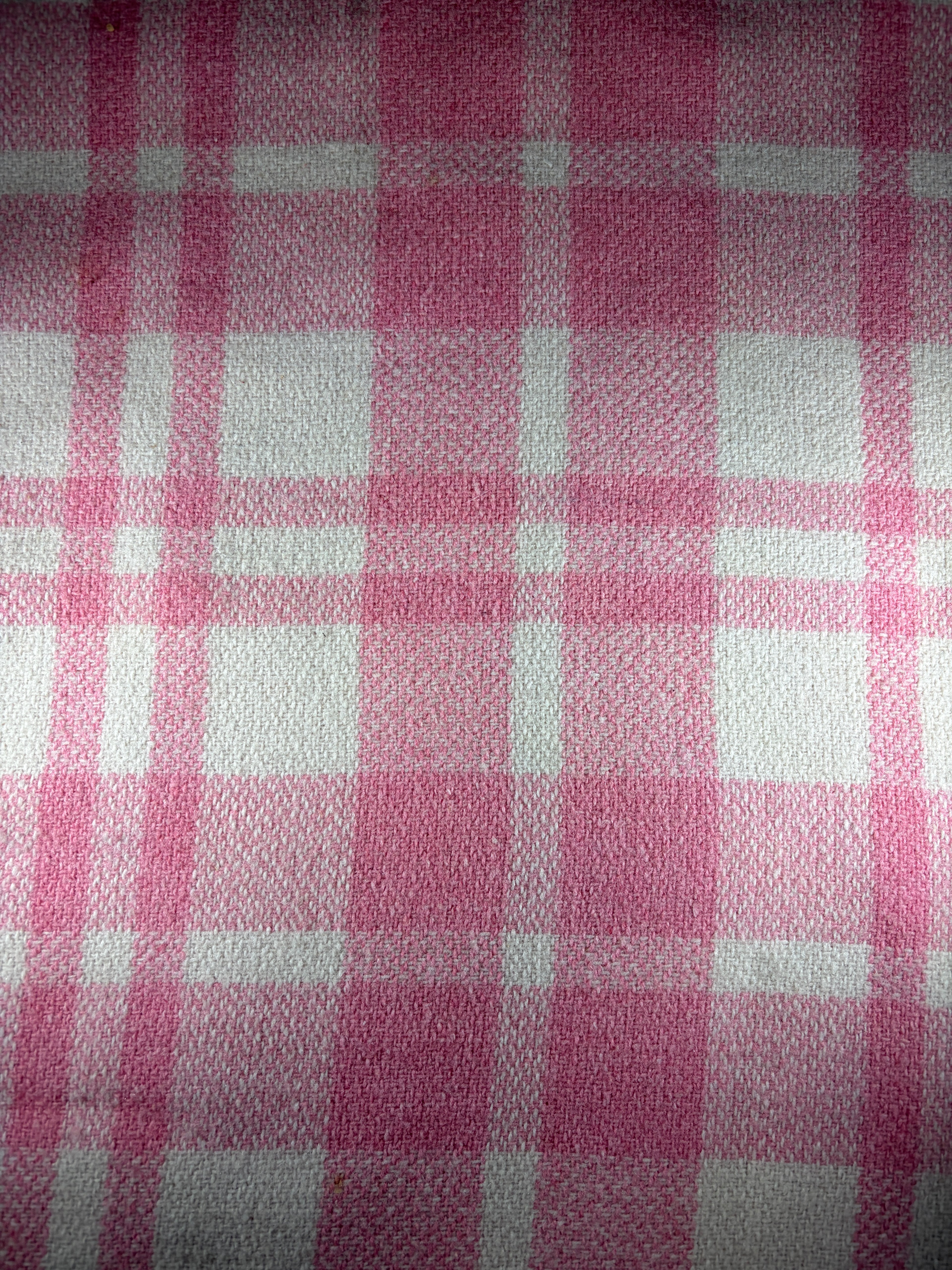 Wool Dog Coat