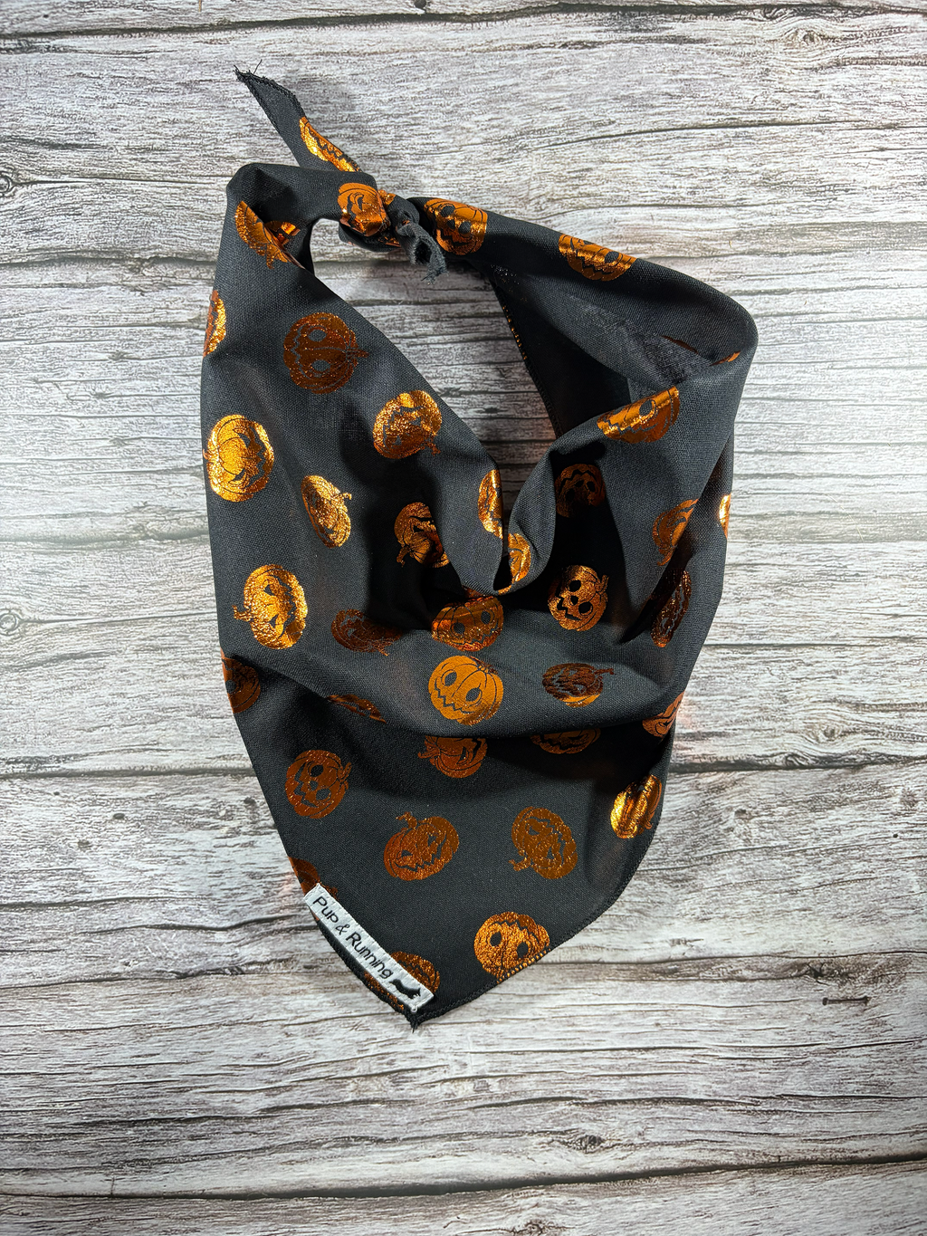 Pumpkin Spice and All Things Nice Bandana