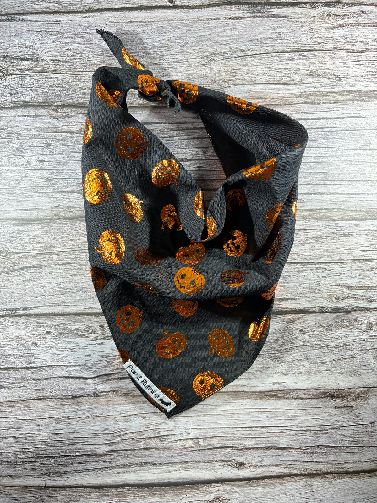 Pumpkin Spice and All Things Nice Bandana